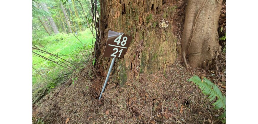 21048  LMCH Owned Woodsy Bare Site