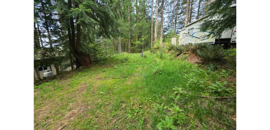 21048  LMCH Owned Woodsy Bare Site