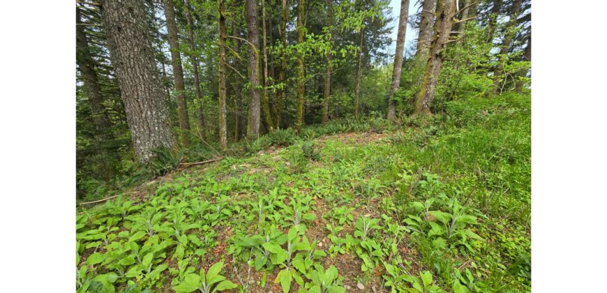 21048  LMCH Owned Woodsy Bare Site