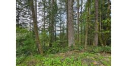 21048  LMCH Owned Woodsy Bare Site