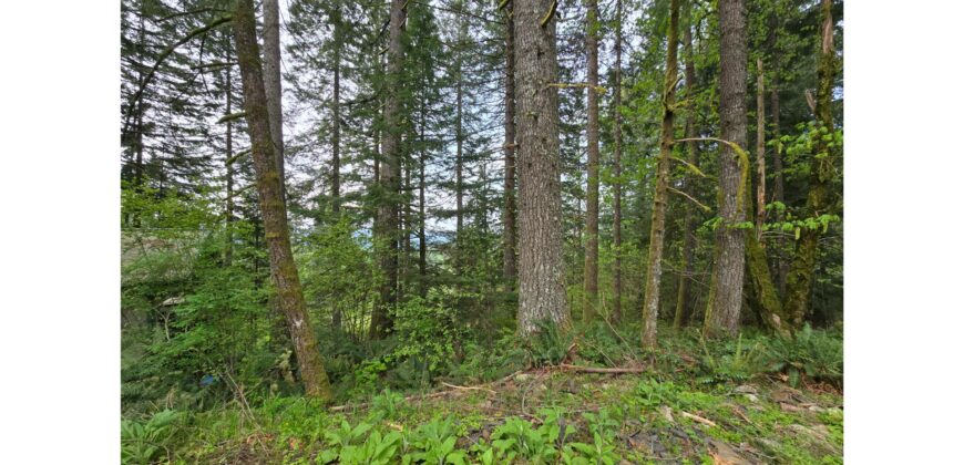 21048  LMCH Owned Woodsy Bare Site