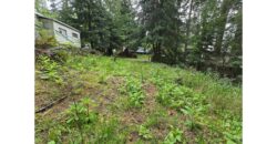 21048  LMCH Owned Woodsy Bare Site