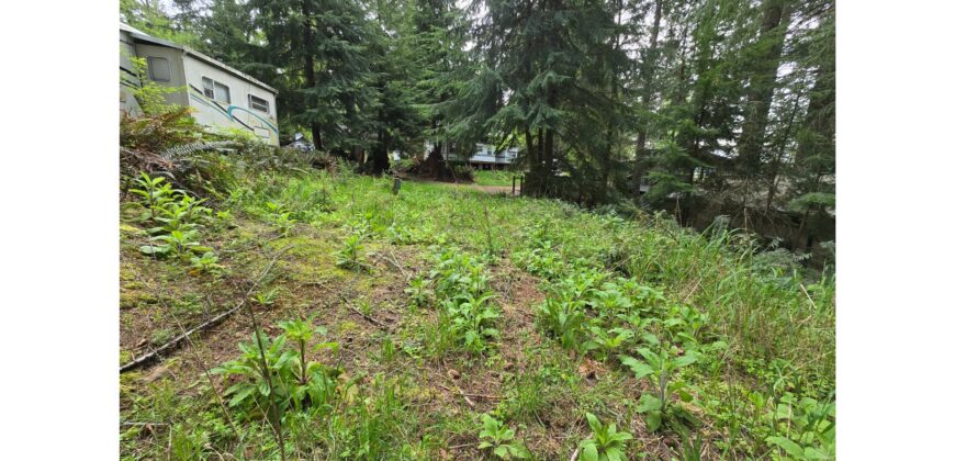 21048  LMCH Owned Woodsy Bare Site