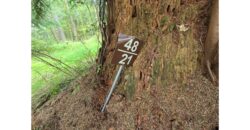 21048  LMCH Owned Woodsy Bare Site