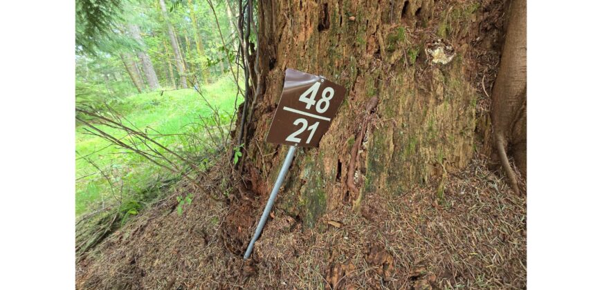 21048  LMCH Owned Woodsy Bare Site