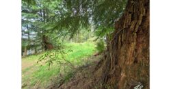 21048  LMCH Owned Woodsy Bare Site