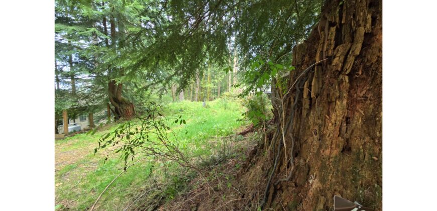 21048  LMCH Owned Woodsy Bare Site