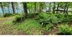 21141 Large Corner Site with Lots of Parking and Views