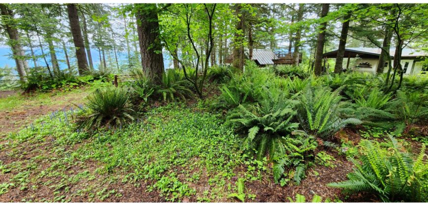 21141 Large Corner Site with Lots of Parking and Views