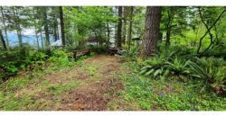 21141 Large Corner Site with Lots of Parking and Views