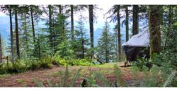 21141 Large Corner Site with Lots of Parking and Views